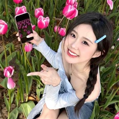 诚实国度的爱丽丝